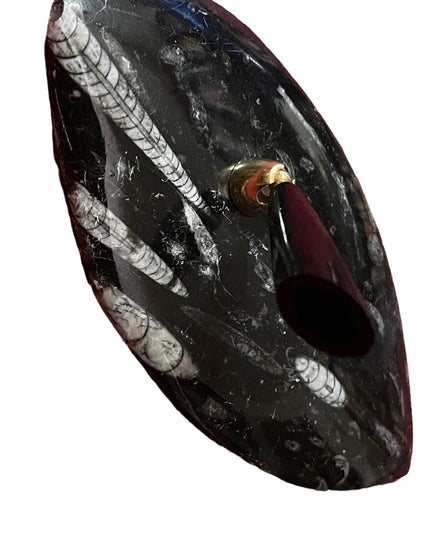 Natural Orthoceras Fossil - Extinct Cephalopod Shell from Morocco Pen Holder
