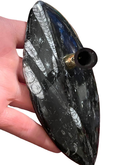 Natural Orthoceras Fossil - Extinct Cephalopod Shell from Morocco Pen Holder