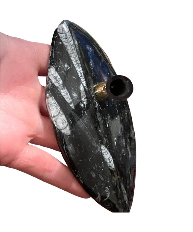 Natural Orthoceras Fossil - Extinct Cephalopod Shell from Morocco Pen Holder