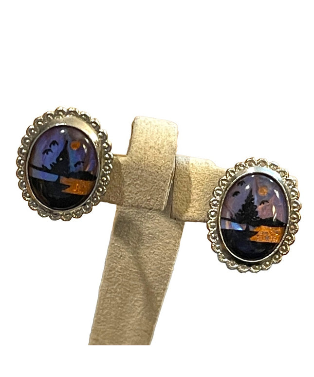 Vintage 1970s silver finish colorful scre back faux butterfy wing earrings oval