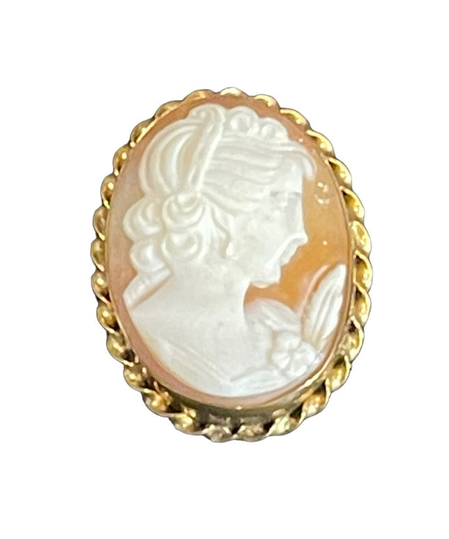 Vintage 14k Gold filled GF Stunning sardonyx carved cameo brooch pendant
