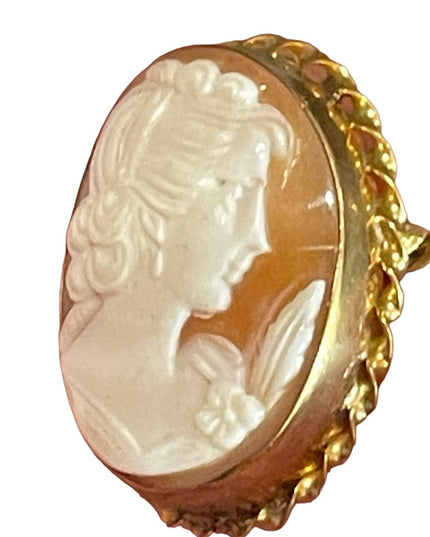 Vintage 14k Gold filled GF Stunning sardonyx carved cameo brooch pendant