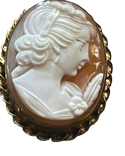 Vintage 14k Gold filled GF Stunning sardonyx carved cameo brooch pendant