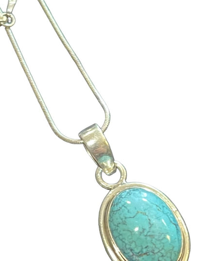 Sterling silver 925 Turquoise Native Southwestern Pendant necklace rope chain