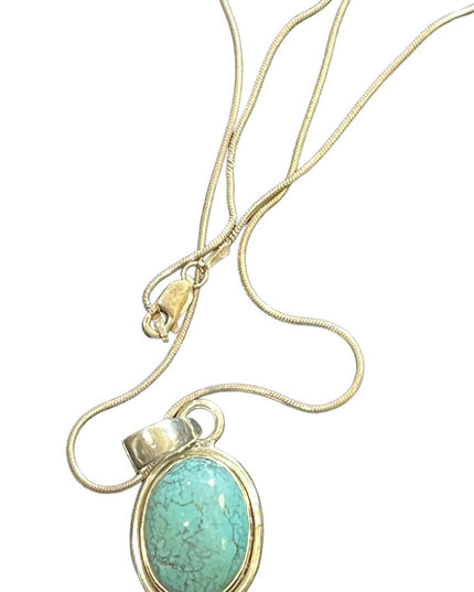 Sterling silver 925 Turquoise Native Southwestern Pendant necklace rope chain
