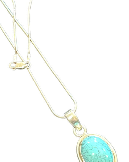 Sterling silver 925 Turquoise Native Southwestern Pendant necklace rope chain
