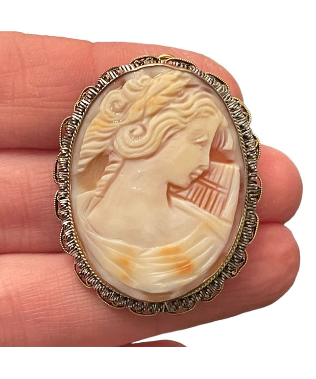 Stunning Large vintage hand carved shell Cameo brooch pendant Gold filled GF
