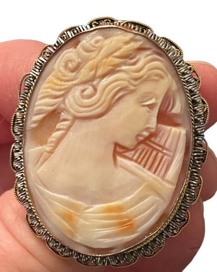 Stunning Large vintage hand carved shell Cameo brooch pendant Gold filled GF