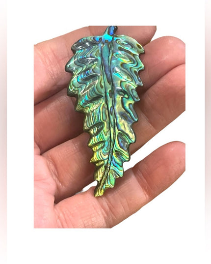 Antique Sterling silver C clip Abalone Large fancy feather brooch