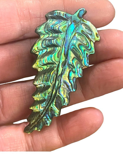 Antique Sterling silver C clip Abalone Large fancy feather brooch