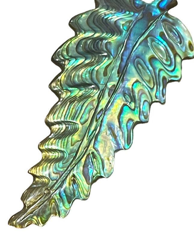 Antique Sterling silver C clip Abalone Large fancy feather brooch