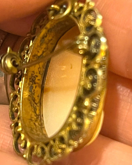 Vintagw 1960s Gold wash rolled wire work edge shell cameo brooch pendant