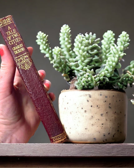 Antique Collins UK 1920 Red Leather Book Tale of Two Cities Charles Dickens Gold