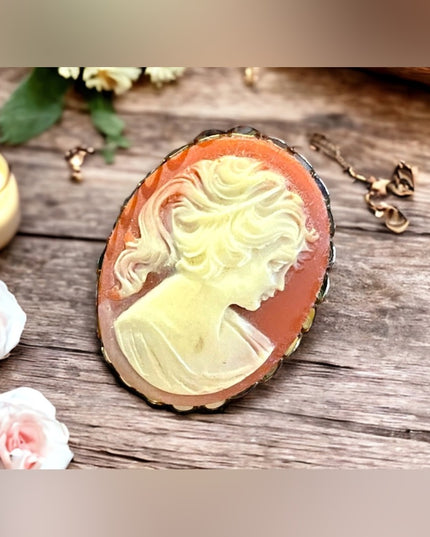 Vintage Resin plastic silver finish CAMEO brooch