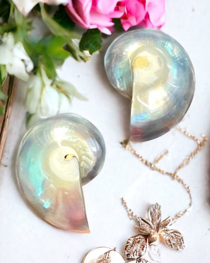 Vintage Nautilus shell earrings