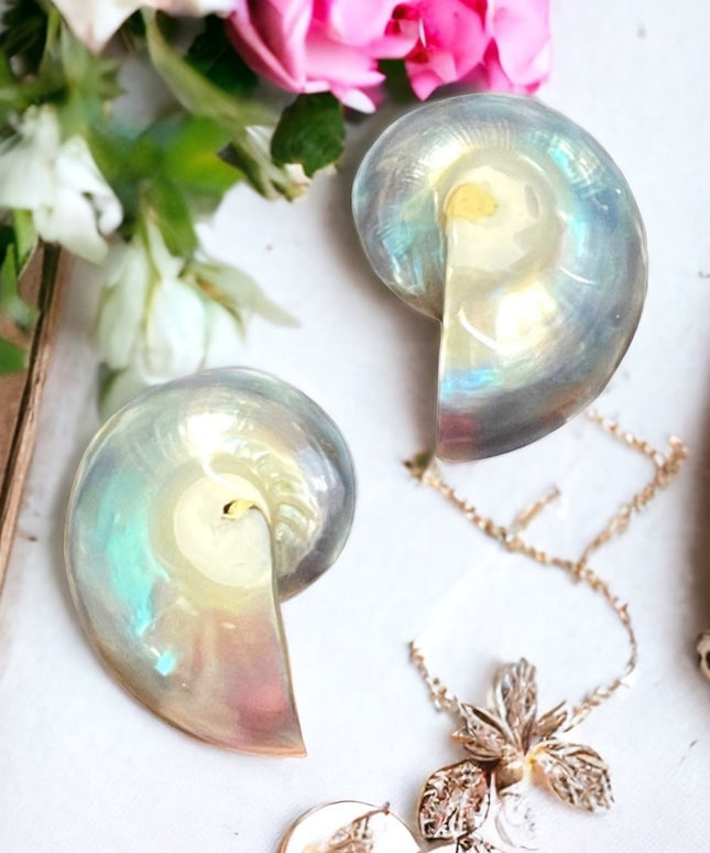 Vintage Nautilus shell earrings