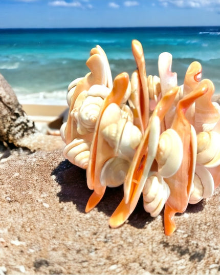 Vintage lovely handmade chunky SEA SHELL bracelet stretchy