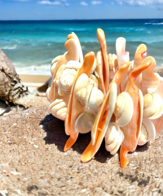 Vintage lovely handmade chunky SEA SHELL bracelet stretchy
