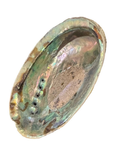 Lovely vintage abalone Shell collectible new age smudging
