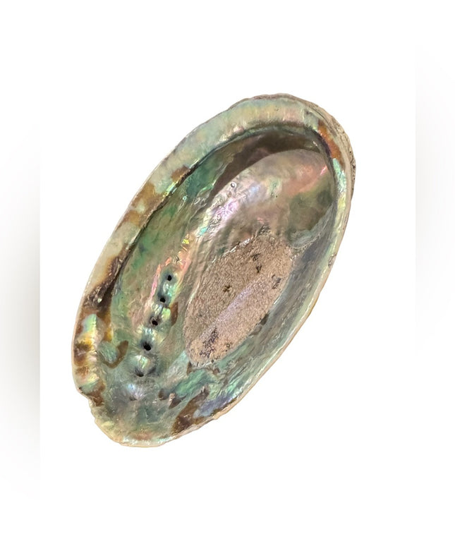 Lovely vintage abalone Shell collectible new age smudging