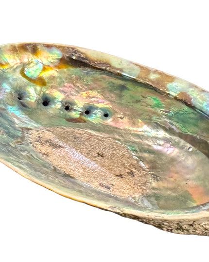 Lovely vintage abalone Shell collectible new age smudging