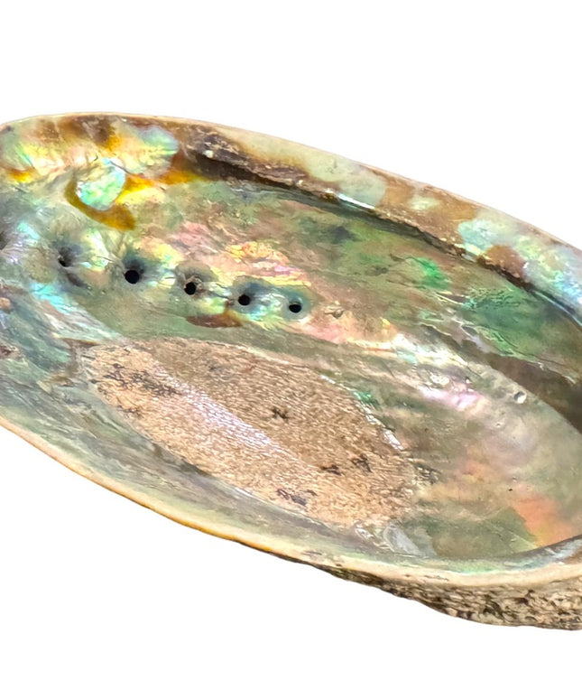 Lovely vintage abalone Shell collectible new age smudging