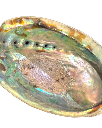 Lovely vintage abalone Shell collectible new age smudging