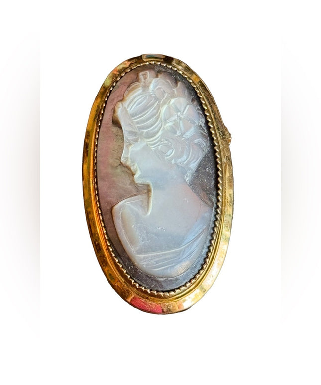 Vintage 12k gold filled Catamore Carved abalone MOP fancy oval CAMEO brooch