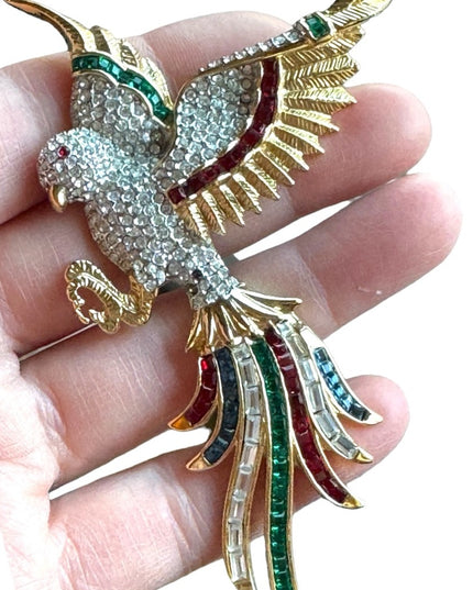 Lovely colorful crystal rhinestone  birds of paradise brooch rhinstones Dorlan