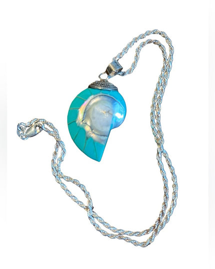 Stunning vintage teal nautilus sea shel sterling silver pendant & rope chain 925