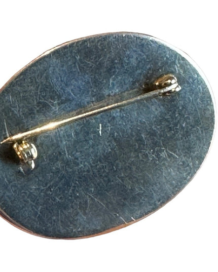 Vintage picture JASPER stone brooch silver oval