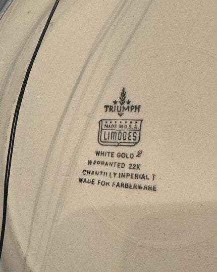 Vintage Limoges Aluminum & ceramic serving platter Farberware server