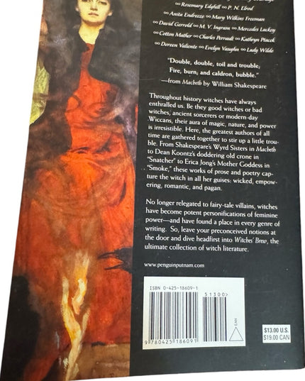 Witches' Brew Wicca Wiccan Fiction BOOK