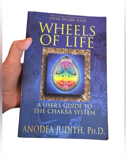 Wheels of Life: A User's Guide to the Chakra System SC book VG New age