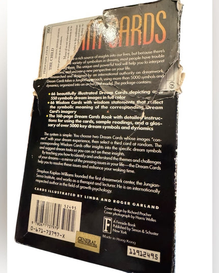 Dream Cards by Strephon Kaplan-Williams
