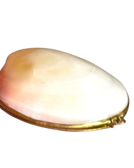Vintage Sea Shell Brass Hinged Jewelry Box Trinket Pill 1950s