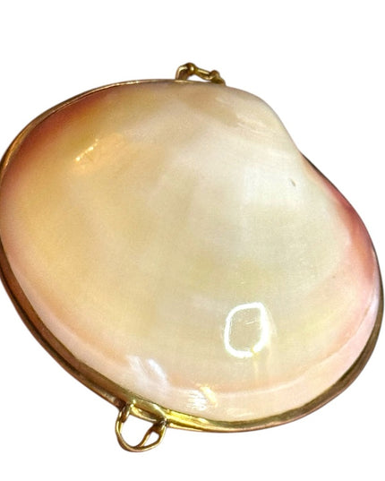 Vintage Sea Shell Brass Hinged Jewelry Box Trinket Pill 1950s
