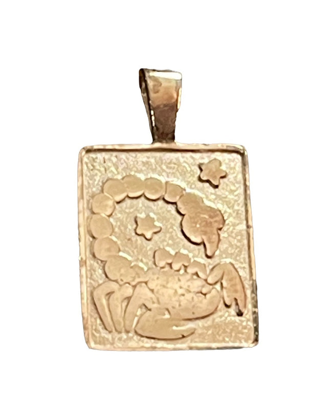 Sterling silver 925 Scorpio tag necklace pendant zodiac