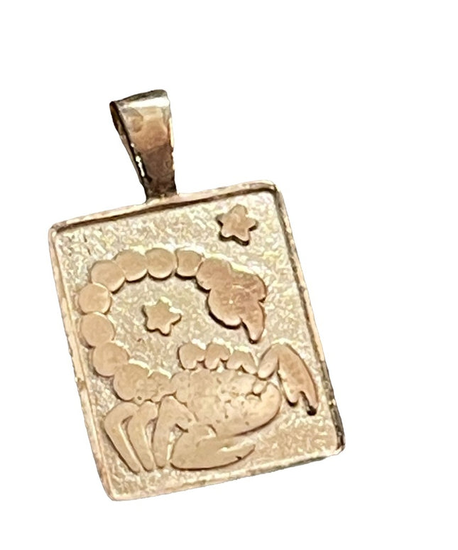 Sterling silver 925 Scorpio tag necklace pendant zodiac