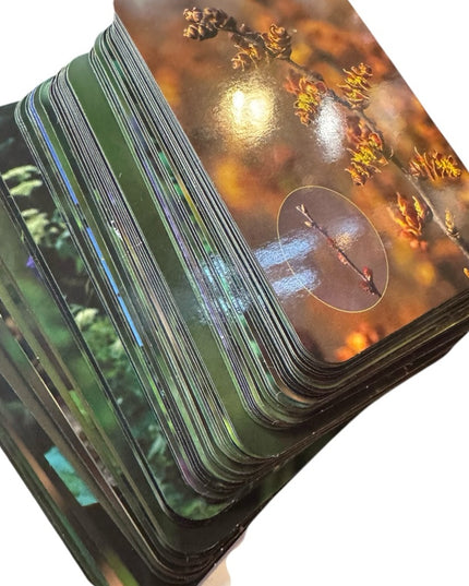 Heart of Nature Flower Energy Cards oracle deck