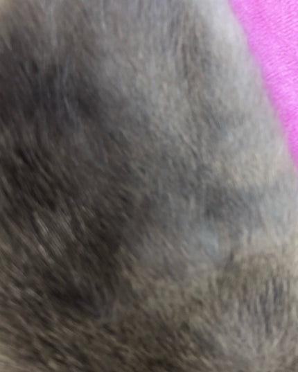 Vintage 33” Silver mink fur stole Collar scarf