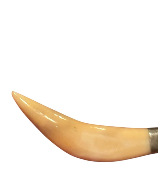 Vintage Silver Ivory  Tiger? Tooth Pendant