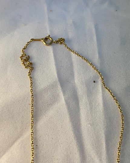 Victorian 14k Gold Lavalier Necklace  APPRAISAL