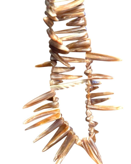Unique Vintage Abalone Spike Shell Necklace