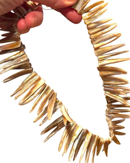 Unique Vintage Abalone Spike Shell Necklace