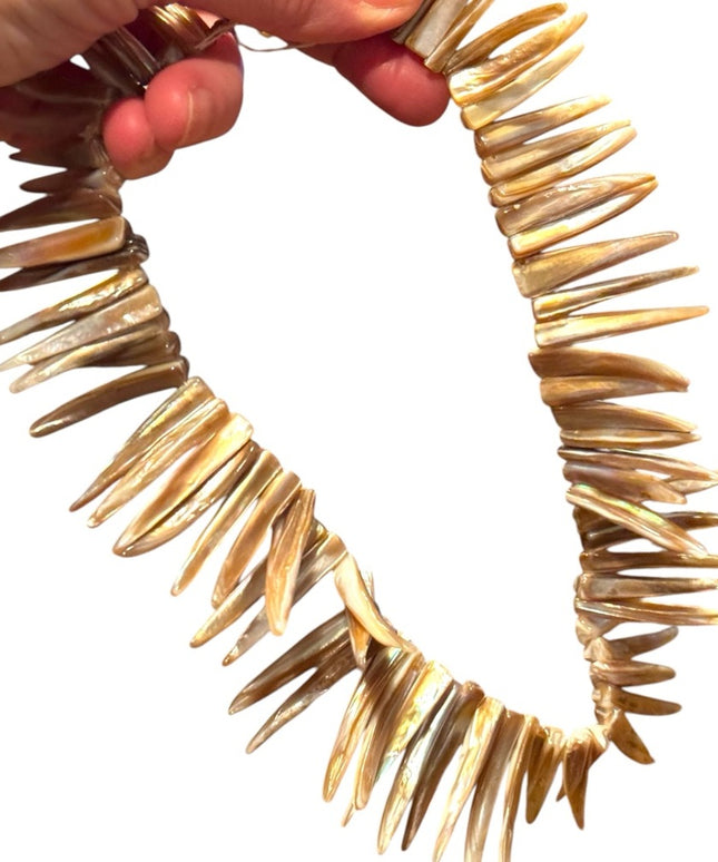 Unique Vintage Abalone Spike Shell Necklace
