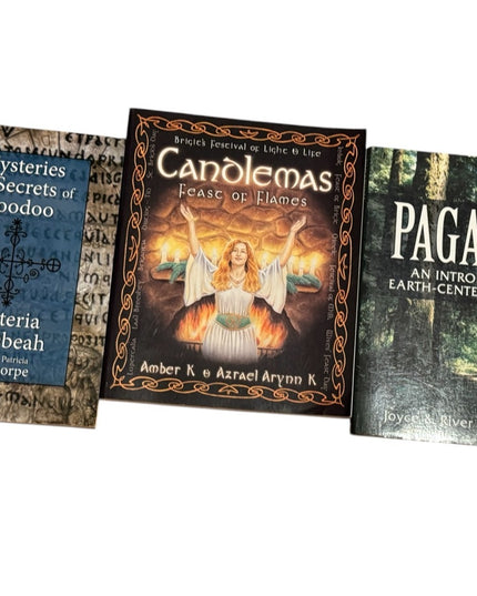 WICCA HUGE LOT 16 pcs of Spiritual Witchcraft Books Spells Voodoo Pagan …