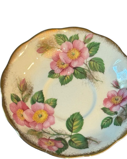 Royal Albert Floral Teacup SET Gold Accents Flowers bone China  Prairie Rose