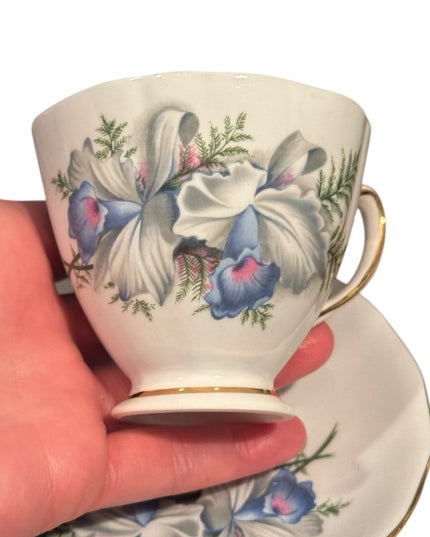 COLCLOUGH CHINA TEA CUP SAUCER Pale Blue IRIS/IRISES GOLD Ridgway Potteries 8101