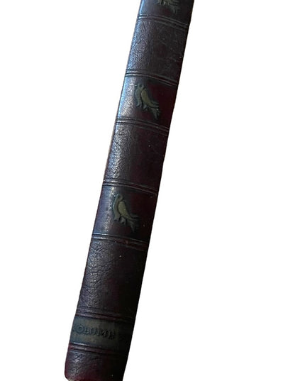 Old McGill Year Book  University 1930 Antique